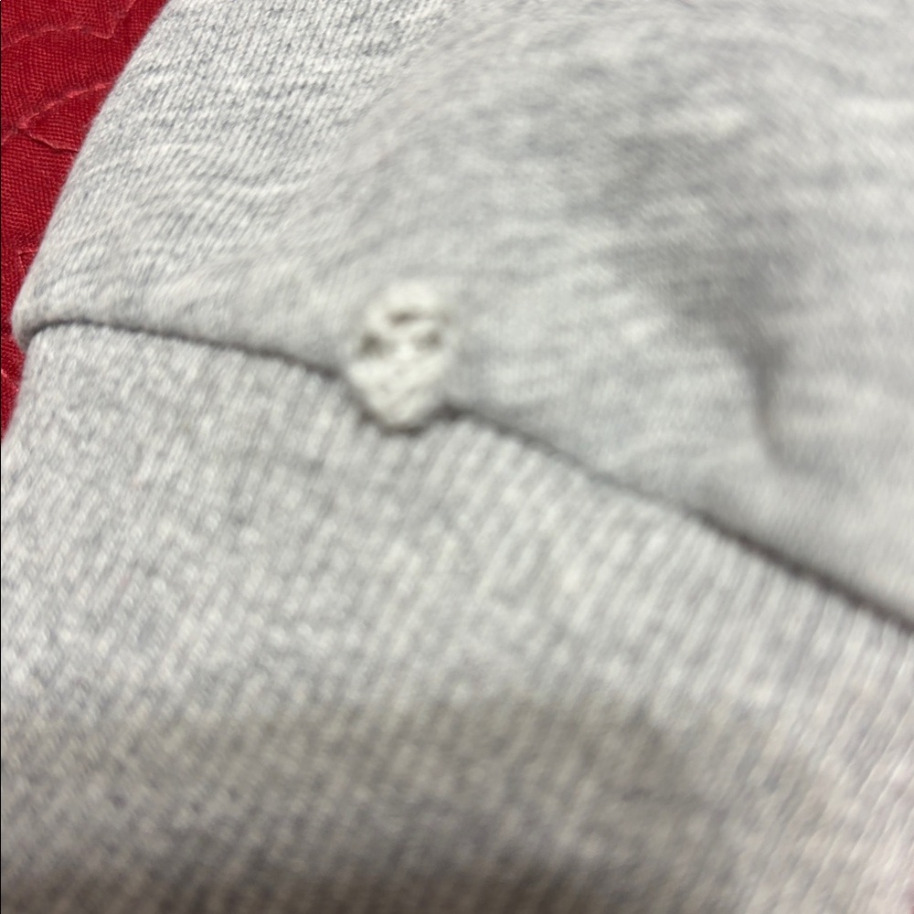 GUCCI PreOwned Gray Red Snake Hoodie & Some staining on collar & front Sz Large - Picture 9 of 16